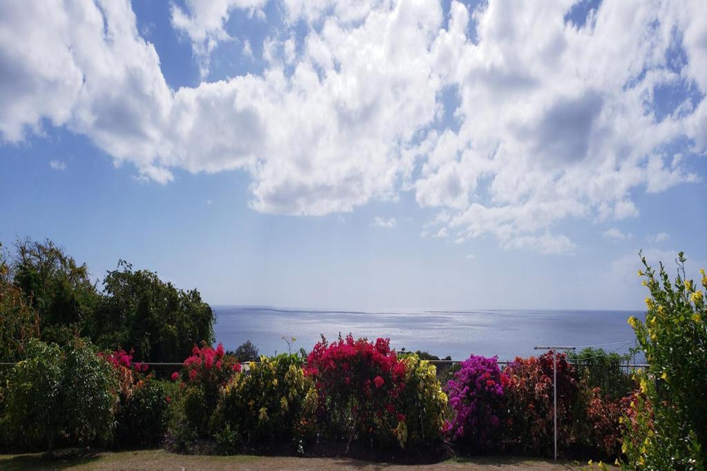 Spectacular Ocean View Retreat Apartment Сейнт Джеймс Екстериор снимка